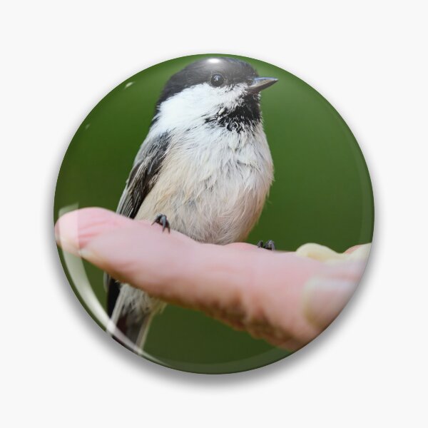 Item preview, Hands on. Willow Tit designed and sold by Jouko Lehto Photography.