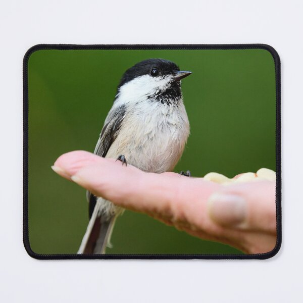 Item preview, Hands on. Willow Tit designed and sold by Jouko Lehto Photography.