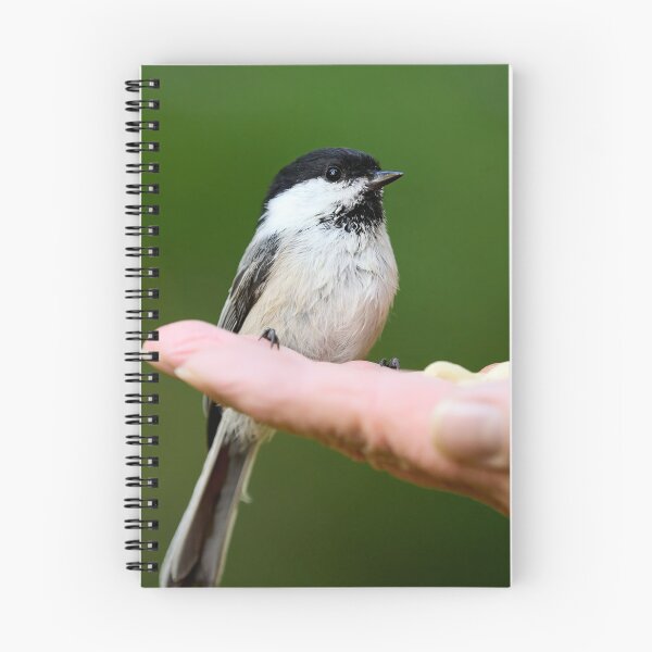 Item preview, Hands on. Willow Tit designed and sold by Jouko Lehto Photography.