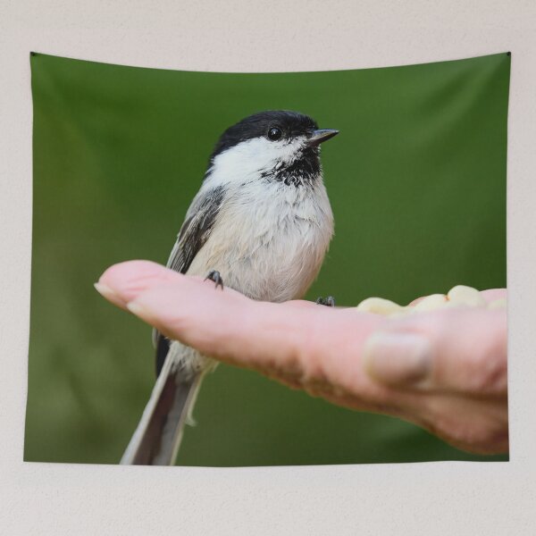 Item preview, Hands on. Willow Tit designed and sold by Jouko Lehto Photography.