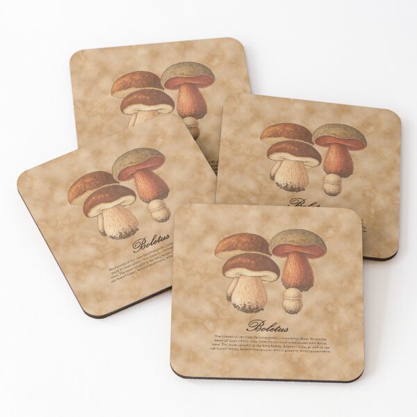 Item preview, Porcini Mushrooms Vintage Boletus Botanical Ilustration designed and sold by DictionaryArt.