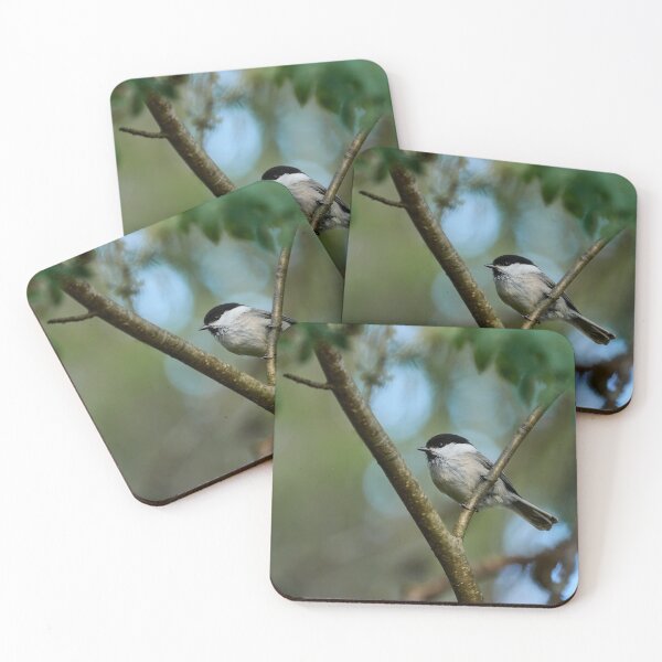 Item preview, Rowans choise. Willow Tit designed and sold by Jouko Lehto Photography.