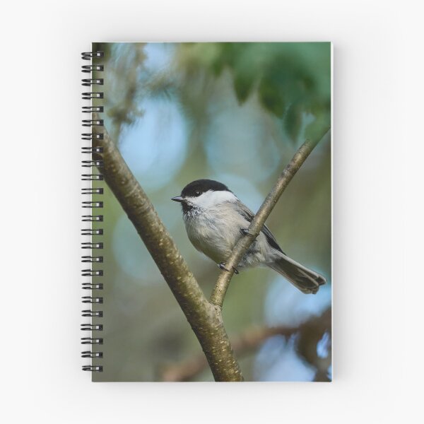 Item preview, Rowans choise. Willow Tit designed and sold by Jouko Lehto Photography.