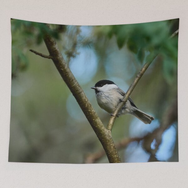 Item preview, Rowans choise. Willow Tit designed and sold by Jouko Lehto Photography.