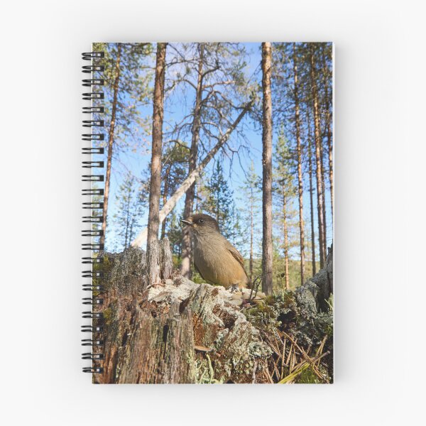 Item preview, Pinewoods. Siberian jay designed and sold by Jouko Lehto Photography.