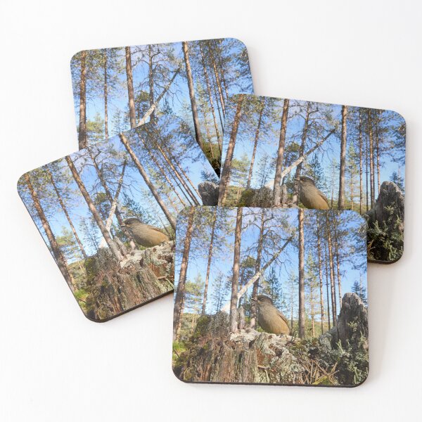 Item preview, Pinewoods. Siberian jay designed and sold by Jouko Lehto Photography.