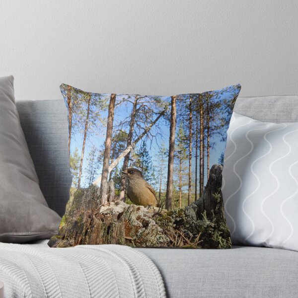 Item preview, Pinewoods. Siberian jay designed and sold by Jouko Lehto Photography.