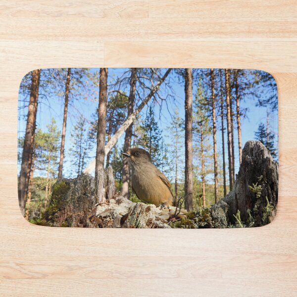 Item preview, Pinewoods. Siberian jay designed and sold by Jouko Lehto Photography.