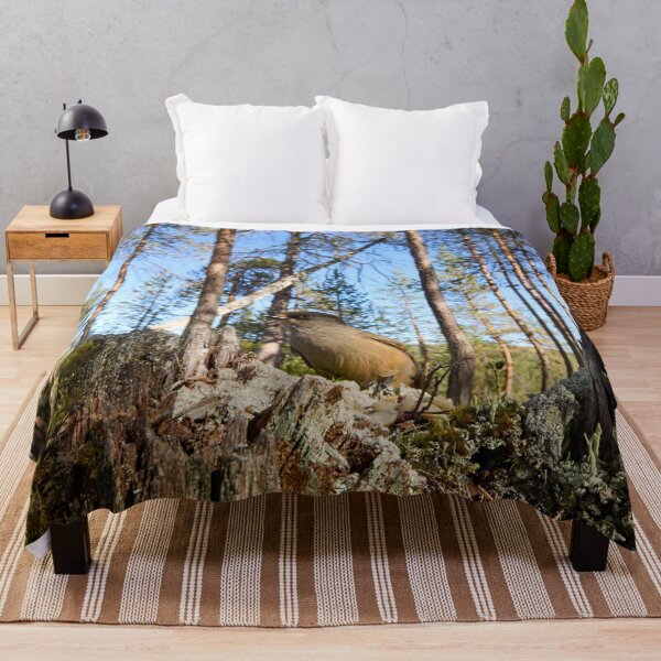 Item preview, Pinewoods. Siberian jay designed and sold by Jouko Lehto Photography.