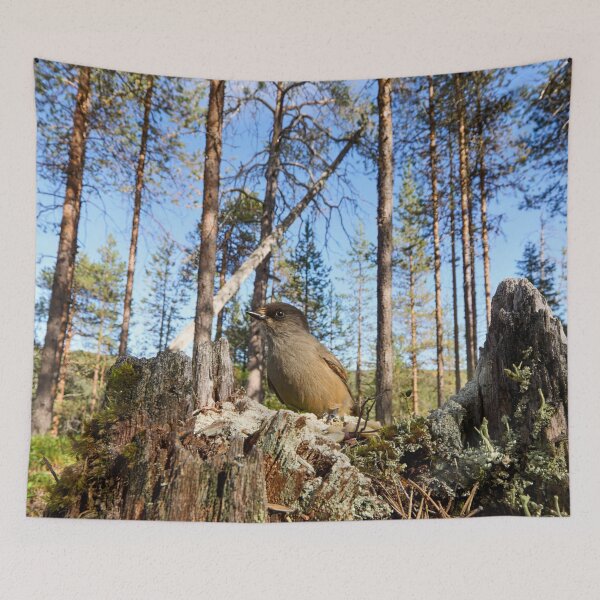 Item preview, Pinewoods. Siberian jay designed and sold by Jouko Lehto Photography.