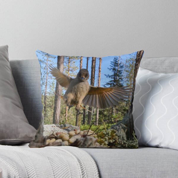 Item preview, I'm here. Siberian jay designed and sold by Jouko Lehto Photography.