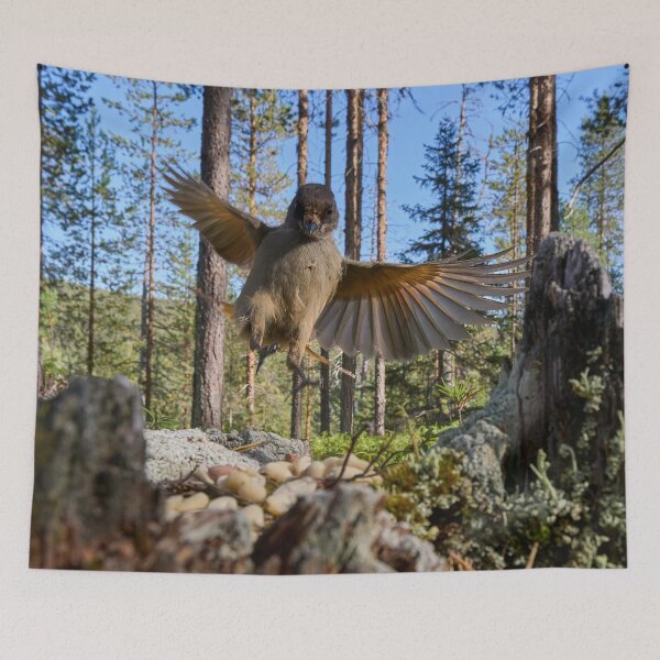 Item preview, I'm here. Siberian jay designed and sold by Jouko Lehto Photography.