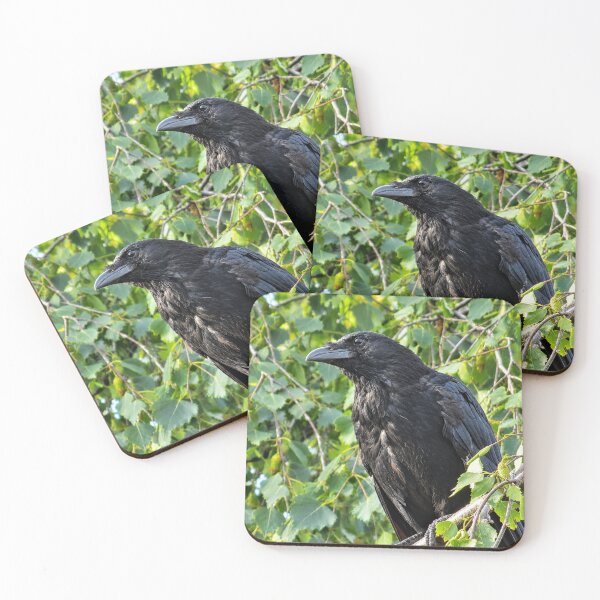 Item preview, The Watchful Raven in Birch Foliage designed and sold by Astute-Artio-Photography.