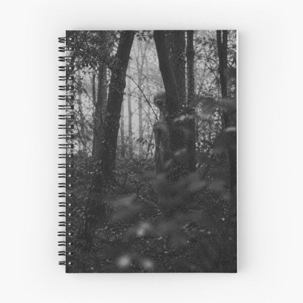 Item preview, Haunted Forest – Mysterious Shadow in the Woods designed and sold by ZYVARENNE.