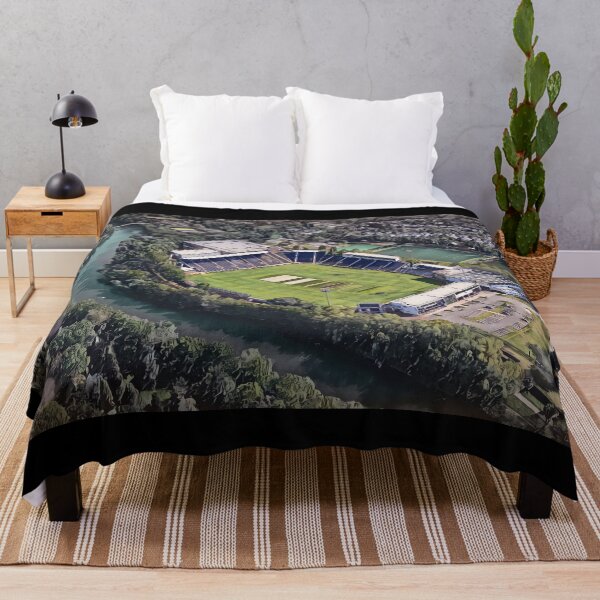 Item preview, Sophia Gardens Cricket Stadium, Cardiff designed and sold by ArtworkNorth.