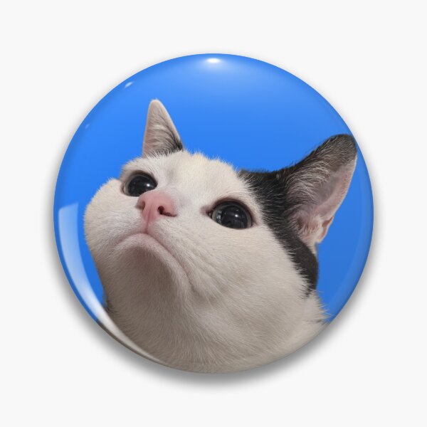 Item preview, Pleading cat designed and sold by Chonk Borris.