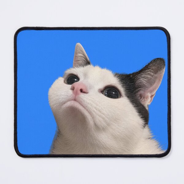 Item preview, Pleading cat designed and sold by Chonk Borris.