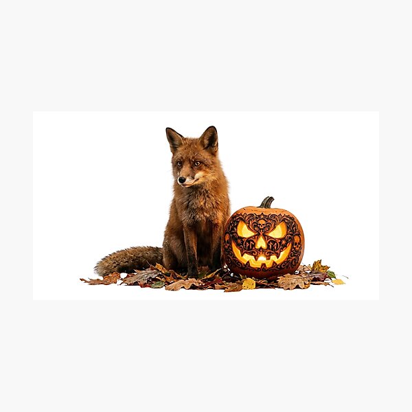 Item preview, Realistic Fox and Carved Halloween Pumpkin in Autumn Leaves designed and sold by OlesiaCraft.