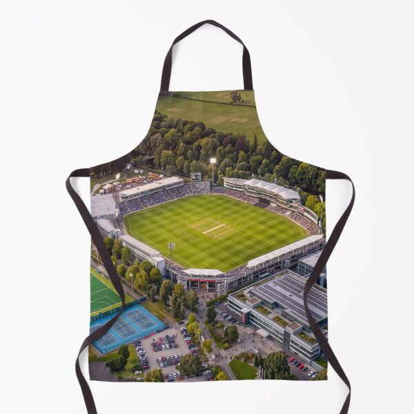 Item preview, Sophia Gardens Cricket Ground, Cardiff, Wales designed and sold by ArtworkNorth.