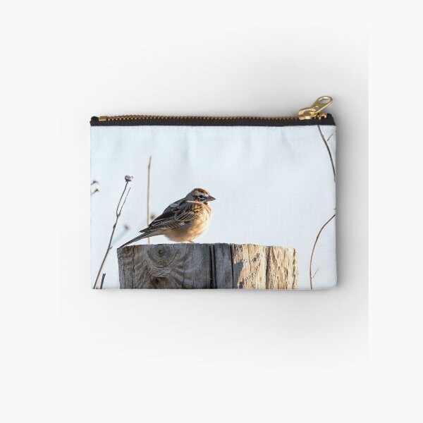 Item preview, Lark Sparrow on a Country Road Post designed and sold by Debra Martz.