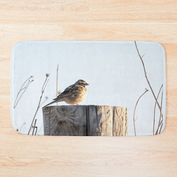 Item preview, Lark Sparrow on a Country Road Post designed and sold by Debra Martz.