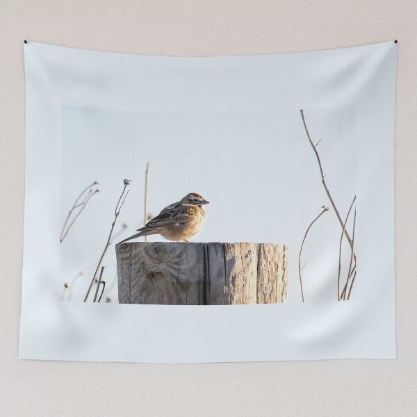 Item preview, Lark Sparrow on a Country Road Post designed and sold by Debra Martz.