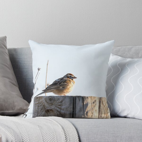Item preview, Lark Sparrow on a Country Road Post designed and sold by Debra Martz.