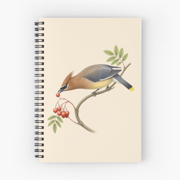 Item preview, Cedar Waxwing Vintage Bird Study designed and sold by BloomStudio1.
