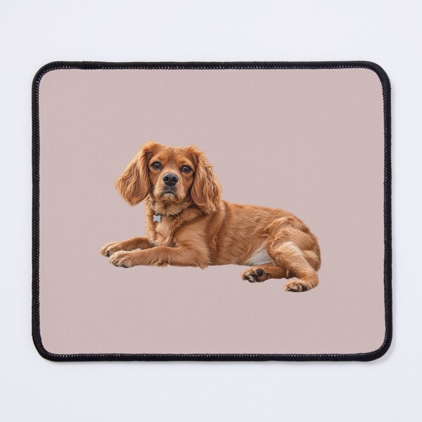 Item preview, Cavalier Spaniel designed and sold by AnnaW1996.