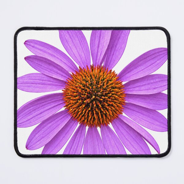 Item preview, Lavender Coneflower in Full Bloom designed and sold by Kimberly Palmer.
