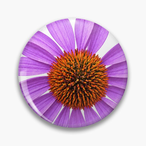 Item preview, Lavender Coneflower in Full Bloom designed and sold by Kimberly Palmer.