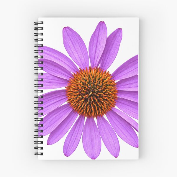 Item preview, Lavender Coneflower in Full Bloom designed and sold by Kimberly Palmer.