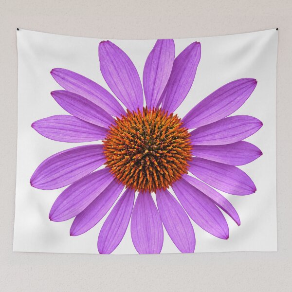 Item preview, Lavender Coneflower in Full Bloom designed and sold by Kimberly Palmer.