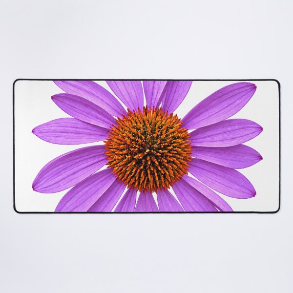 Item preview, Lavender Coneflower in Full Bloom designed and sold by Kimberly Palmer.