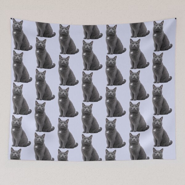 Item preview, Grey Cat designed and sold by AnnaW1996.