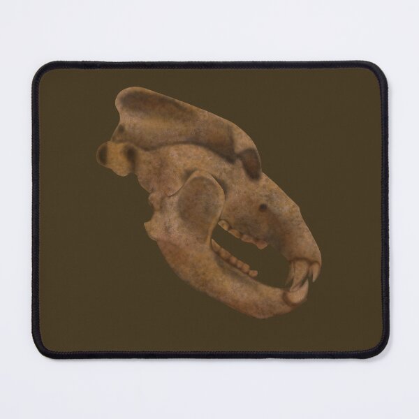 Item preview, Cave Bear Skull Fossil designed and sold by JAMiron Paleoart.