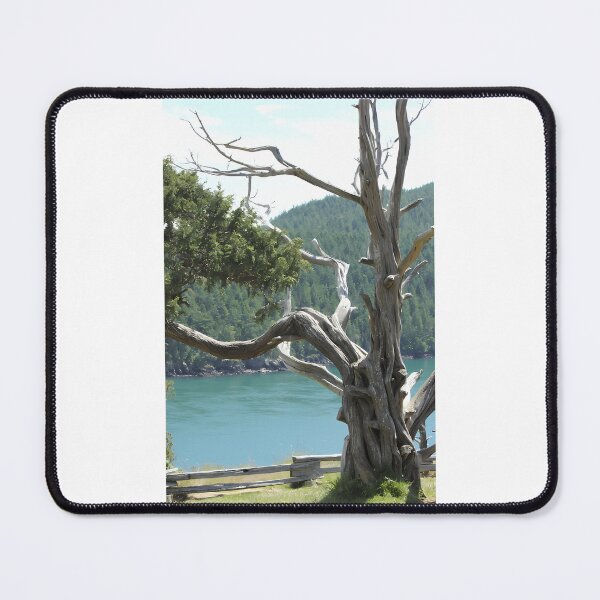 Item preview, Untold Story  designed and sold by trula-rose.