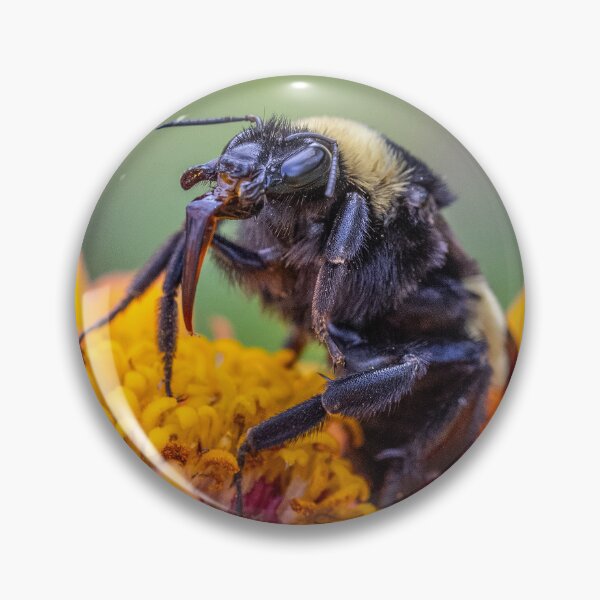 Item preview, Feeding Bee on orange flower designed and sold by Stephanie SD3 Creative.