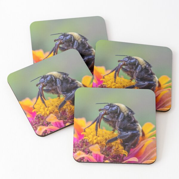 Item preview, Feeding Bee on orange flower designed and sold by Stephanie SD3 Creative.