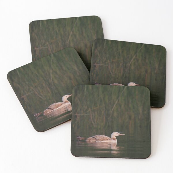 Item preview, Peace with Luke the Leucistic loon in northern Minnesota designed and sold by Rpaul13.