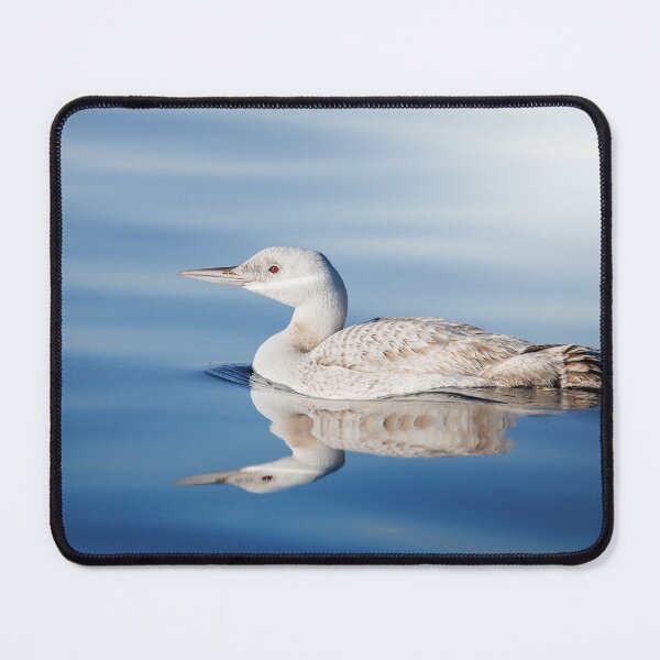 Item preview, Still of the morning designed and sold by Rpaul13.