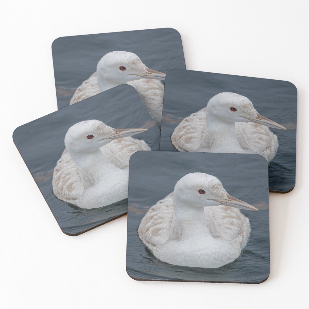 Item preview, Coasters (Set of 4) designed and sold by Rpaul13.