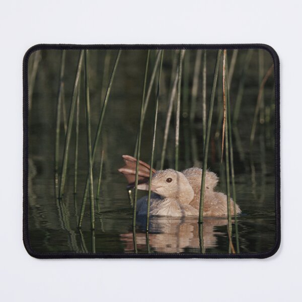 Item preview, Morning wave with Luke designed and sold by Rpaul13.