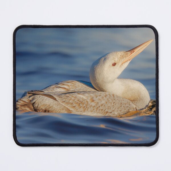 Item preview, Evening light designed and sold by Rpaul13.
