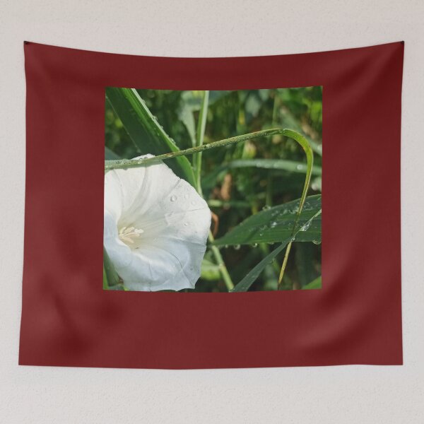Item preview, Flower, nature, white flower,spring flower designed and sold by JoyVero.