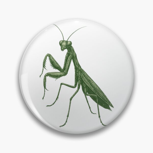 Item preview, Praying Mantis Illustration – Detailed Insect Art designed and sold by xndrlab.