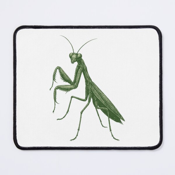 Item preview, Praying Mantis Illustration – Detailed Insect Art designed and sold by xndrlab.