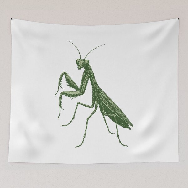 Item preview, Praying Mantis Illustration – Detailed Insect Art designed and sold by xndrlab.
