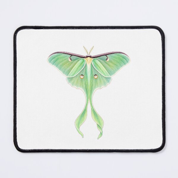Item preview, Luna Moth Watercolor designed and sold by 2rose.