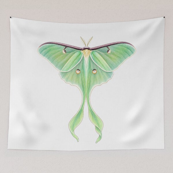 Item preview, Luna Moth Watercolor designed and sold by 2rose.